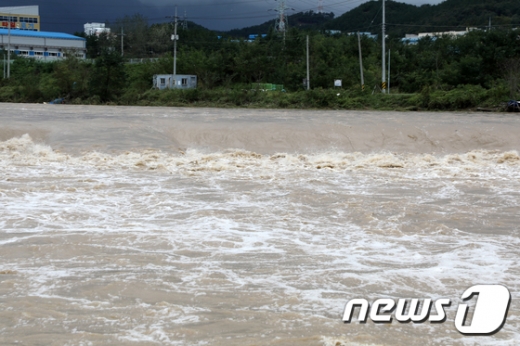 울산 태화강. /사진=뉴스1