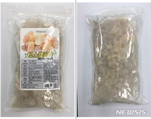 보스웰리아. /사진=뉴시스