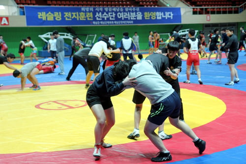 /사진제공= 해남군