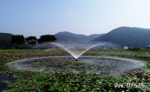 연꽃공원 분수. /사진=뉴시스    