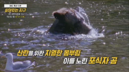 ©tbs TV