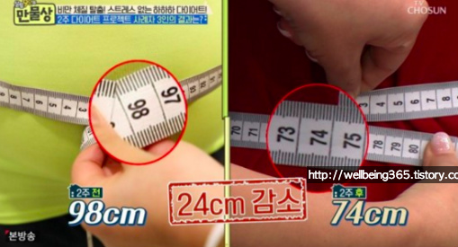 시서스가루./사진='만물상' 방송캡처