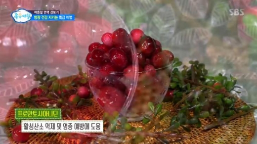 크랜베리. /사진=SBS '좋은아침' 방송화면 캡처