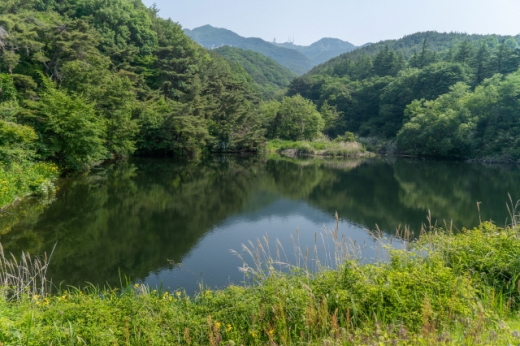부인사 도보길 풍광. /사진=한국관광공사