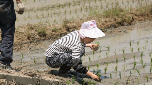 송가인 몸빼바지./사진=TV조선 제공