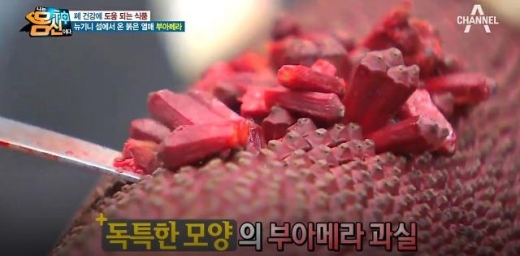 부아메라. /사진=채널A '나는 몸신이다' 방송화면 캡처