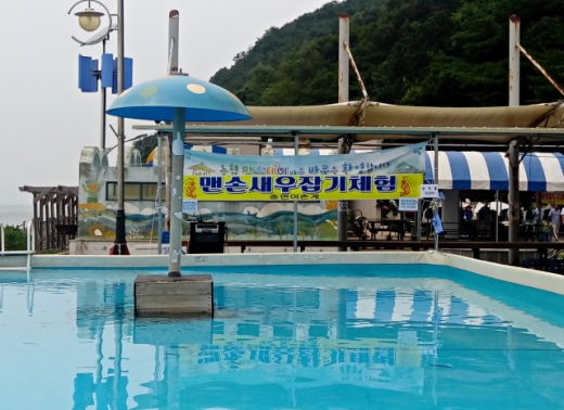 여름철에만 운영하는 야외 수영장. /사진=한국관광공사
