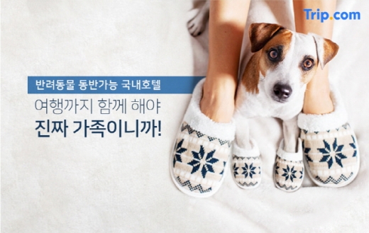 펫캉스 호텔 프로모션. /사진=트립닷컴
