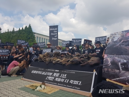 2019 복날추모행동. /사진=뉴시스     