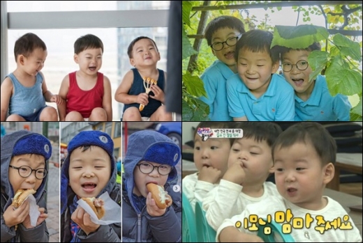 삼둥이./사진=송일국 인스타그램, kbs 제공