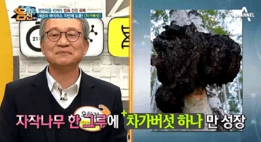 '나는 몸신이다' 프로그램 ./사진=채널A