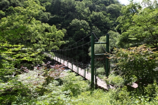 공작산생태숲 산소길의 귕소 출렁다리. /사진=한국관광공사