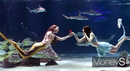 [머니S포토] 아쿠아플라넷 63 