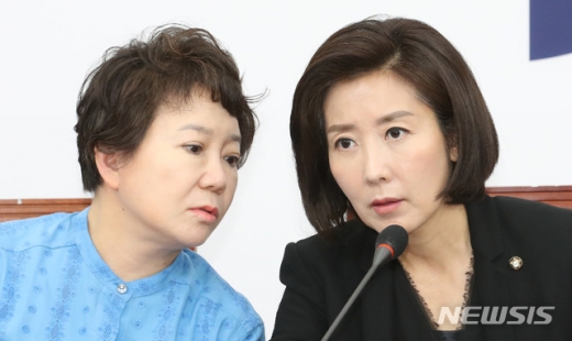 정미경 자유한국당 최고위원(왼쪽)과 나경원 원내대표. /사진=뉴시스