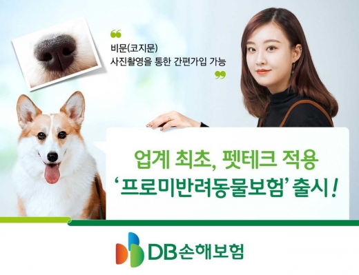 /사진=DB손해보험