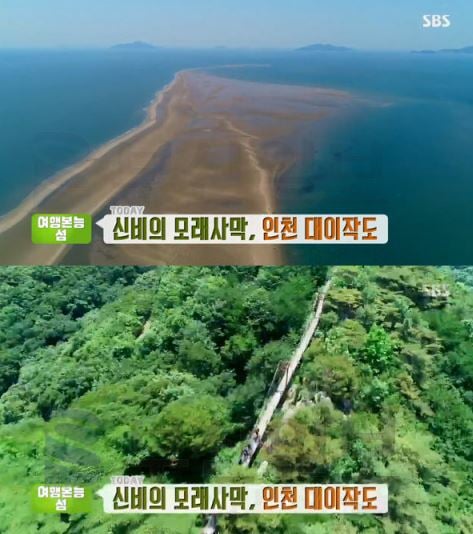 인천 대이작도. /사진=SBS 생방송투데이 방송화면 캡처