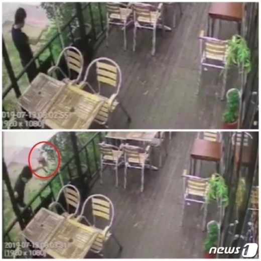 지난 13일 새벽 한 남성이 가게에 사는 고양이를 잔혹하게 학대해 살해하는 사건이 발생했다./사진=뉴스1