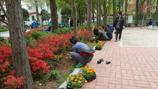 금곡동 주민들이 동네 녹화 사업 참여 중이다. / 사진제공=성남시