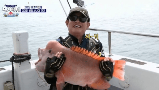 혹돔. /사진=채널A 도시어부 방송 캡처     