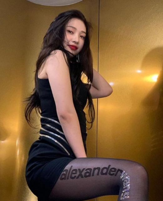 조이, 요염한 포즈로 뽐낸 '섹시미'