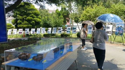 독도해양생물 사진전./사진제공=국립수산과학원 
