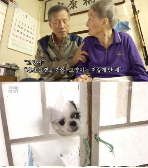 인간극장 '삶이 끝날때까지' 편. /사진=KBS '인간극장 ' 방송화면 캡처