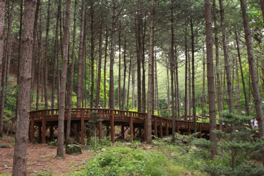 양평 산음자연휴양림. /사진=산음자연휴양림 제공    