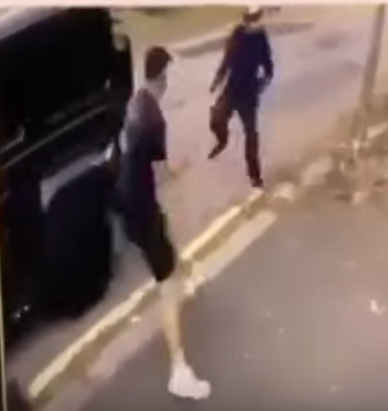 괴한을 쫓아내는 콜라시나츠(왼쪽). /사진=CCTV 영상 캡처