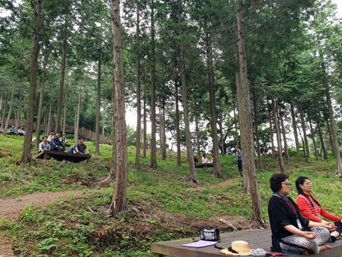 교원힐링캠프에 참여한 교사들이 전남 보성 청소년 수련원 산림욕장에서 명상을 하고 있다./사진제공= 도교육청