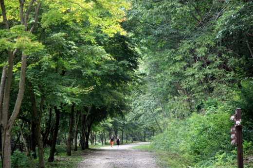 전북 장수의 방화동-덕산계곡 장안산 생태탐방로. /사진=한국관광공사