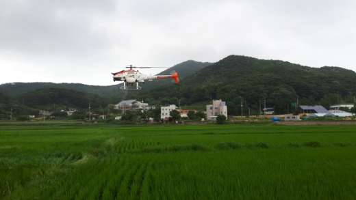 ▲덕적면 방제 활동 실시/사진제공=옹진군청