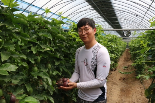 김해시 생림면 마사리 패션프루트 농장/사진제공=김해시 