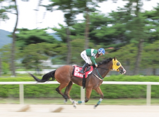 오너스컵 북수혈전에 성공한 최강마 블르치퍼가 결승선을 통과하는 장면./사진제공=한국마사회