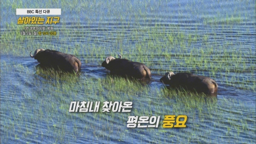 © tbs TV