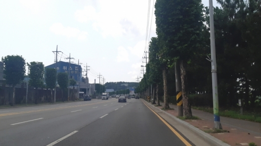 안산스마트허브 내 가로수. / 사진제공=안산시