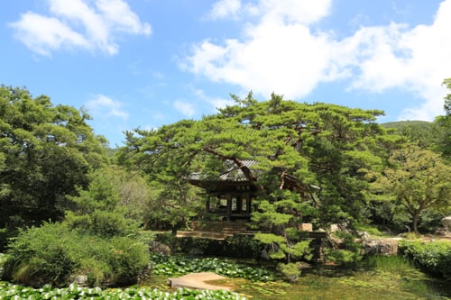    보길도 세연정 전경 /사진=완도군