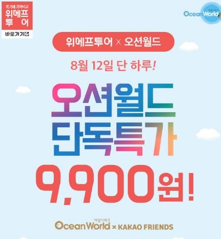 위메프투어 오션월드. /사진=위메프 제공    