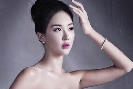 장미인애 악플러. /사진=장미인애 인스타그램