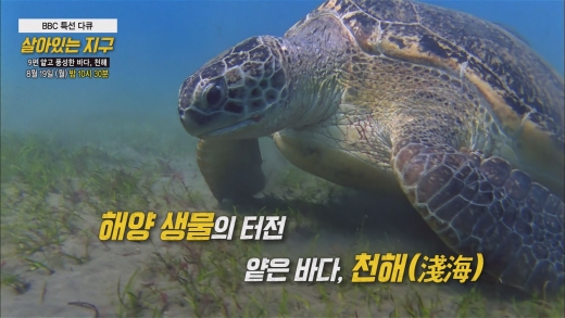 © tbs TV