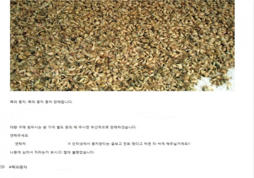 미등록 의심업체 쪽파 종자 블로그 판매 사례. / 사진제공=경기도