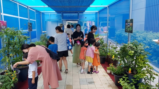 나비 체험 모습. / 사진제공=화성시