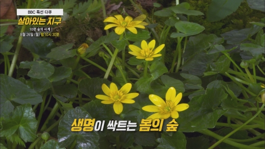 ©tbs tv