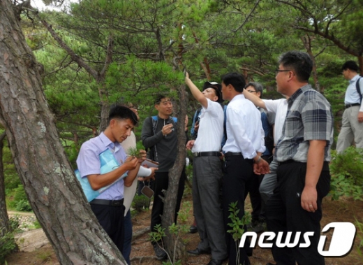 사진은 기사내용과 무관. /사진=뉴스1