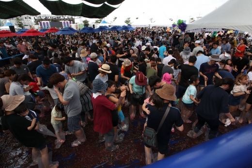 2018년 포도축제에서 관광객들이 포도밟기 체험을 하고 있는 모습. / 사진제공=화성시