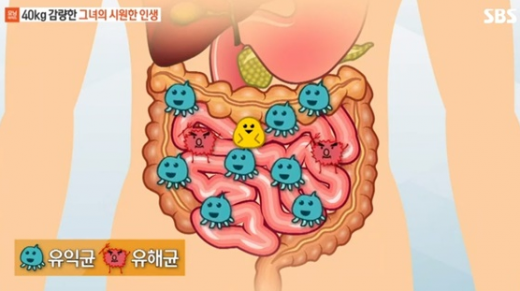 LGG유산균. /사진=SBS '모닝와이드' 방송화면 캡처