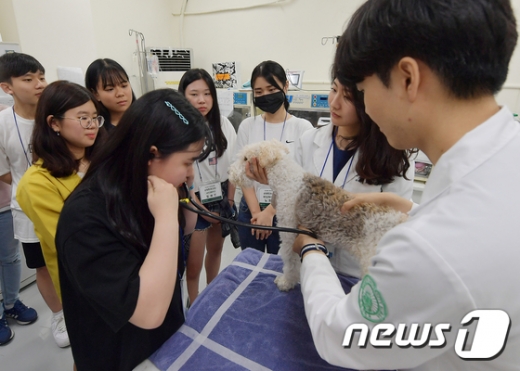 지난 1일 서울 광진구 능동로 건국대학교 동물병원에서 열린 2019년 KU전공체험 행사에서 고교생들이 수의학과의 동물 진료 체험을 하고 있다. /사진=뉴스1