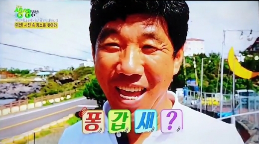 제주바다다, KBS2 생생정보 … 갑오징어와 새우를 치즈와 함께 '퐁갑새' 소개
