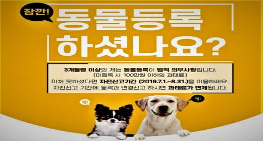 안산시(시장 윤화섭)는 유실·유기동물 발생 예방 및 성숙한 동물문화 정착을 위해 실시하는 동물등록 자진신고기간이 이달 말로 종료된다고 27일 밝혔다. / 사진제공=안산시