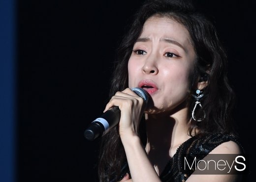 홍자 콘서트. /사진=장동규 기자