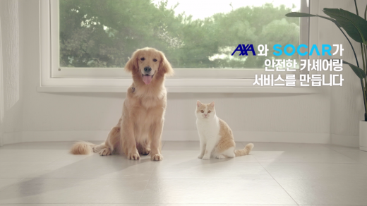 악사손해보험./사진=악사손해보험 제공